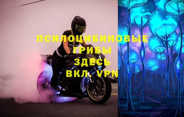 мескалин Алексеевка